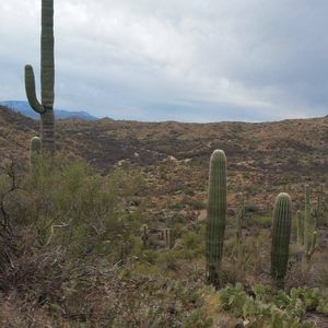 Meet your Posher, Tim